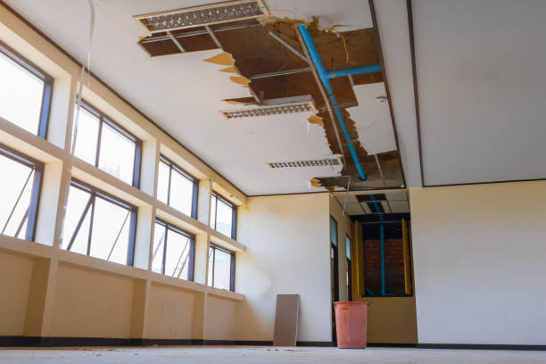  Woods Hole, MA Water damage restoration Pros