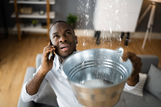 Best Sewage cleanup and water damage restoration  in Woods Hole, MA