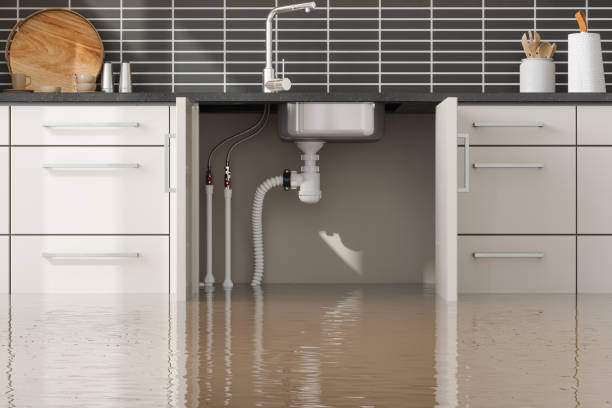 Best Water damage restoration near me  in Woods Hole, MA